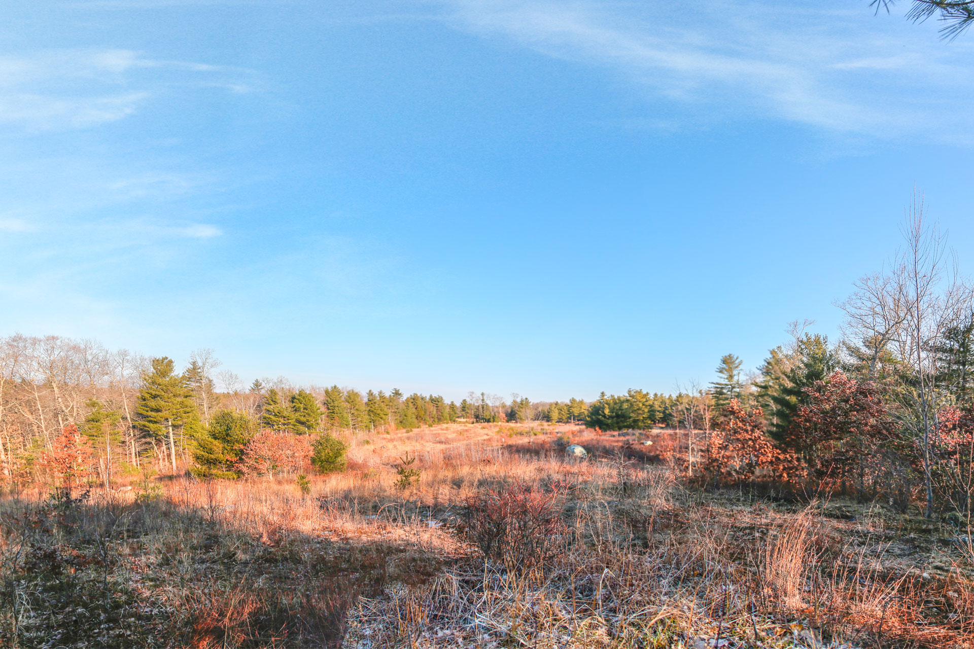 Markover Hunting Preserve — photo 1